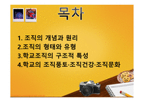 조직이론, 조직의 개념과 원리 -2