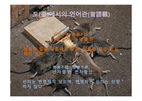 한문과 도가 문화 노자 -17