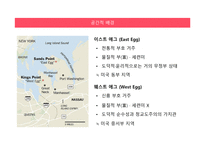 위대한 개츠비 작가소개, 작품소개 -12
