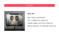 위대한 개츠비 작가소개, 작품소개 -13
