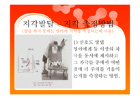 영아기 인지발달 - 지각발달 – 지각 측정방법 -2