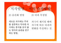영아기 인지발달 - 지각발달 – 지각 측정방법 -3