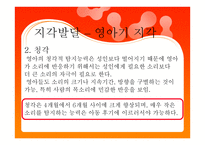 영아기 인지발달 - 지각발달 – 지각 측정방법 -14