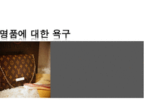 명품에 대해, 명품에 대한 심리적   -1