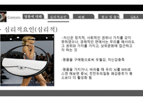 명품에 대해, 명품에 대한 심리적   -9