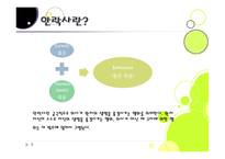 밀리언 달러 베이비 - 안락사 -5