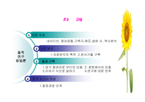 질적연구방법론 - 자료 수집, 분석 -2