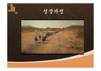 드라마 주몽에 대해서 -12