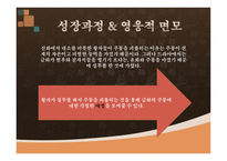 드라마 주몽에 대해서 -15