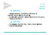 발달 심리학 - 인지발달 - 피아제이론, 비고츠키 이론 -4