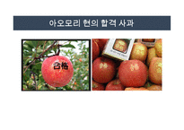 스토리텔링의 정의 -12