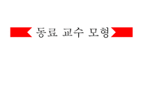 교육학 동료 교수 모형 -1