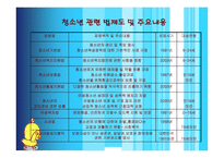 청소년 복지정책의 개념 이해하기 -6