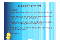 청소년 복지정책의 개념 이해하기 -11