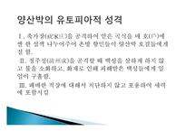 유토피아의 정의 -13