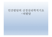 인간발달의 신경심리학적기초 - 발달심리학 -1