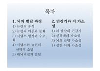 인간발달의 신경심리학적기초 - 발달심리학 -2