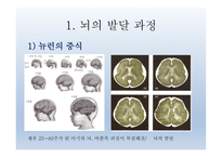 인간발달의 신경심리학적기초 - 발달심리학 -5