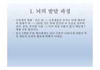 인간발달의 신경심리학적기초 - 발달심리학 -7