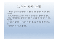 인간발달의 신경심리학적기초 - 발달심리학 -9