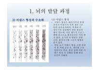 인간발달의 신경심리학적기초 - 발달심리학 -10
