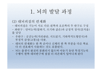 인간발달의 신경심리학적기초 - 발달심리학 -14