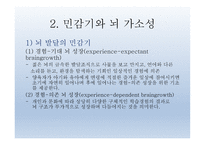 인간발달의 신경심리학적기초 - 발달심리학 -16