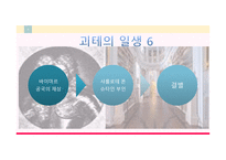 파우스트 줄거리, 괴테 소개 -9