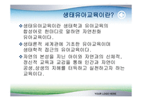 제6장 보육 프로그램의 유형 - 생태 보육 과정 -3