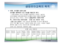 제6장 보육 프로그램의 유형 - 생태 보육 과정 -18