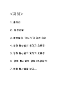[감상문] 영화 황산벌을 이해하고 평가해보기 -2