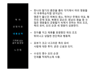 독후감_삼국지 -4