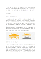 비엔날레 (CEO는 왜 예술적, 문화적 소양을 갖추어야 하는가) - 비엔날레에 대해서, `터전을 불태우라` 전시회 -4