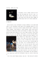 비엔날레 (CEO는 왜 예술적, 문화적 소양을 갖추어야 하는가) - 비엔날레에 대해서, `터전을 불태우라` 전시회 -9