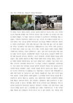 비엔날레 (CEO는 왜 예술적, 문화적 소양을 갖추어야 하는가) - 비엔날레에 대해서, `터전을 불태우라` 전시회 -19