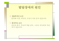 영아기 발달장애 -4