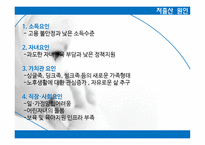 출산율 향상 방안 -16