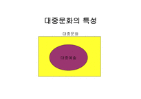 13장 매스미디어와 대중문화 -7