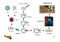 생명복제 유형, 찬성반대 입장 이론 -6