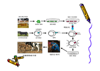 생명복제 유형, 찬성반대 입장 이론 -8