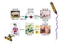 생명복제 유형, 찬성반대 입장 이론 -9