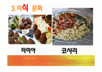 이집트 - 위치, 간단 소개, 문화 -8