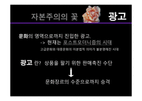 자본주의 사회 속에서 TV광고 분석과 광고의 문화산업적측면 분석 -4