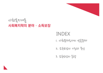 사회복지학 - 소득보장 -2