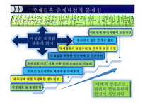 결혼이주여성들의 인권보장 -16