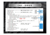 onix 정의 및 배경, 구조 -19