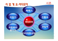 웰빙 카페 사업계획서 -4