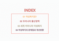 사회복지개론 여성복지란 -2