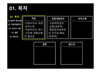 행정학개론(지방자치단체 자치역량 강화 방안) -2