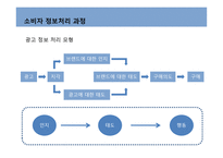 커뮤니케이션과정,기본모형 -11